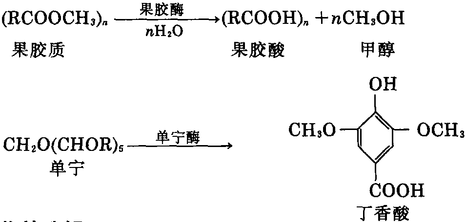 第三節(jié) 糖化過程中的物質變化